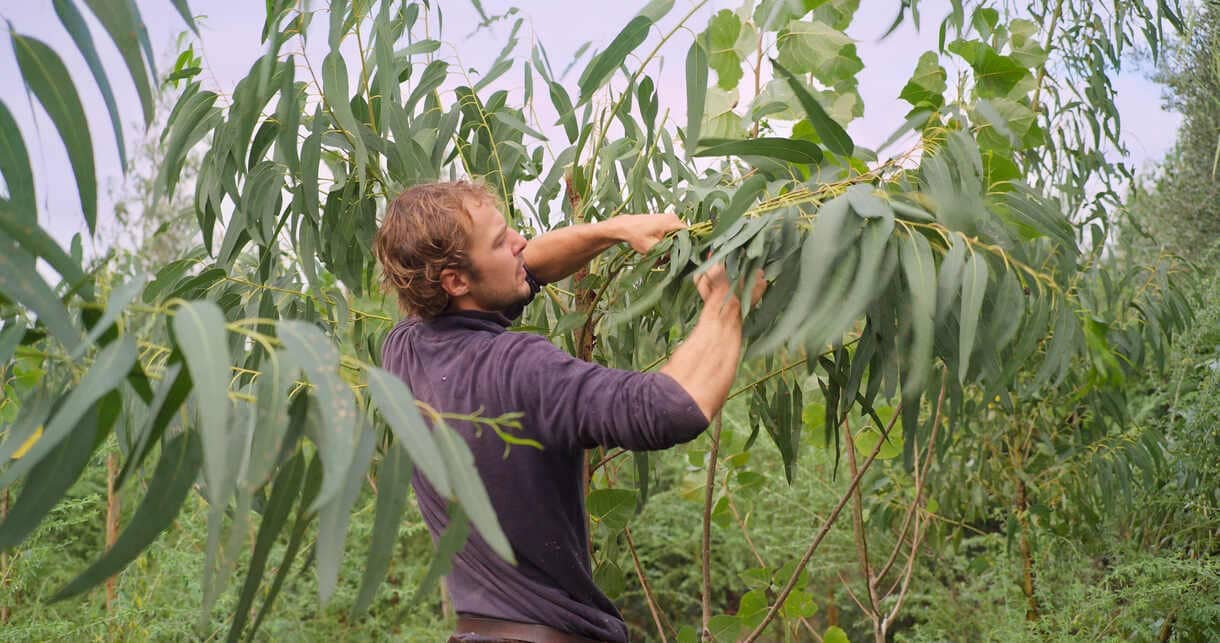 Bild aus dem Film "Atmosphere" von Erwin Wagenhofer