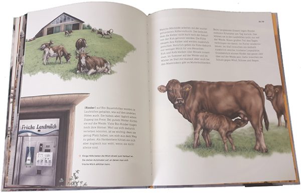 Doppelseite aus "Das wahre Leben der Bauernhoftiere"