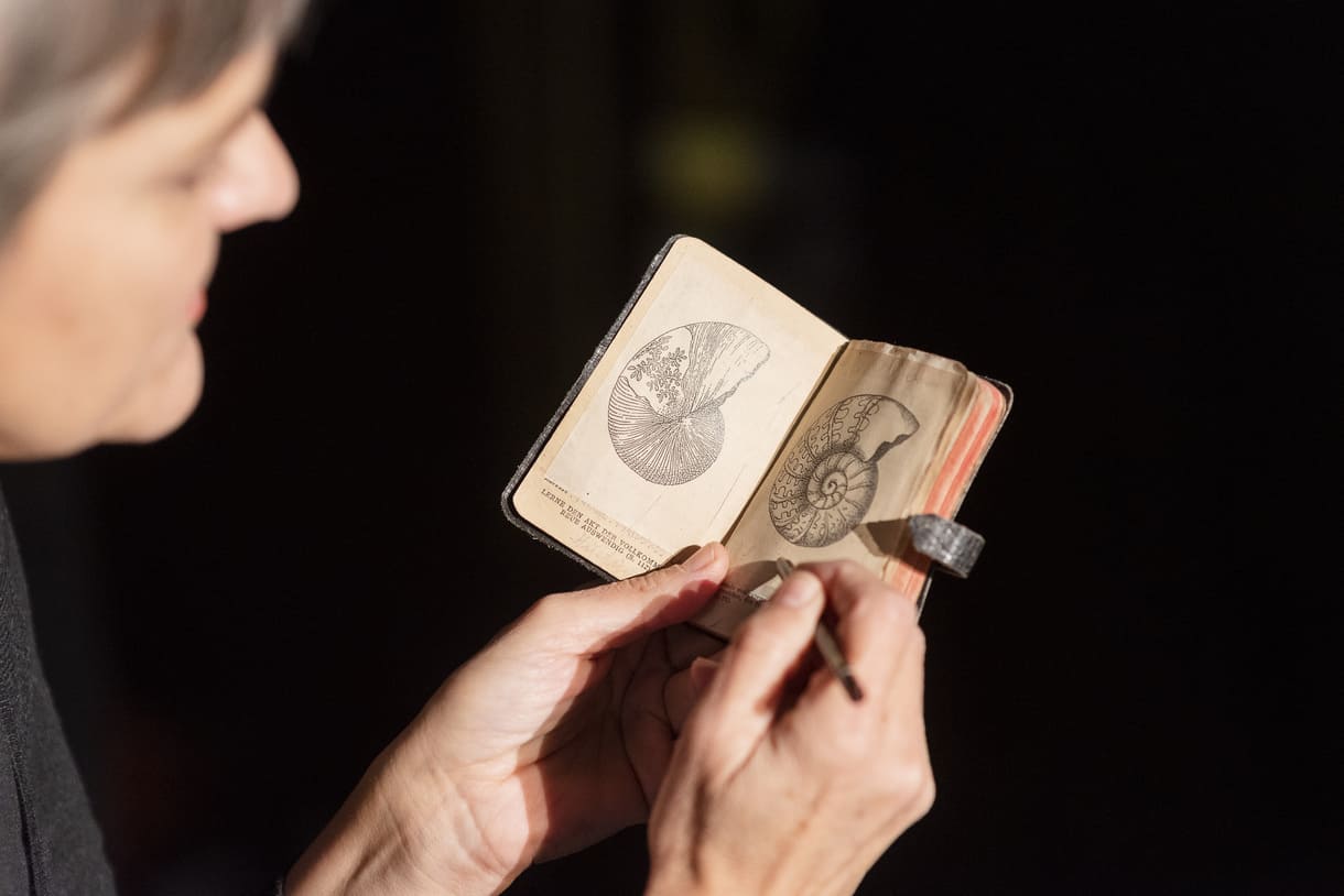 Bilderbuch-, Objekt- und Erzähltehater über die "Dinosauerier-Lady" Mary Anning im "Zirkus des Wissens" der JKU, der Johannes-Kepler-Uni in Linz