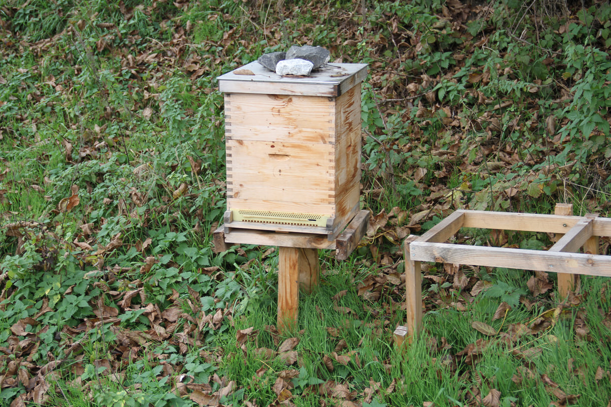 Die Freiwillige Feuerwehr Kronstorf hat auch einen Bienenstock nahe ihrem Hauptquartier