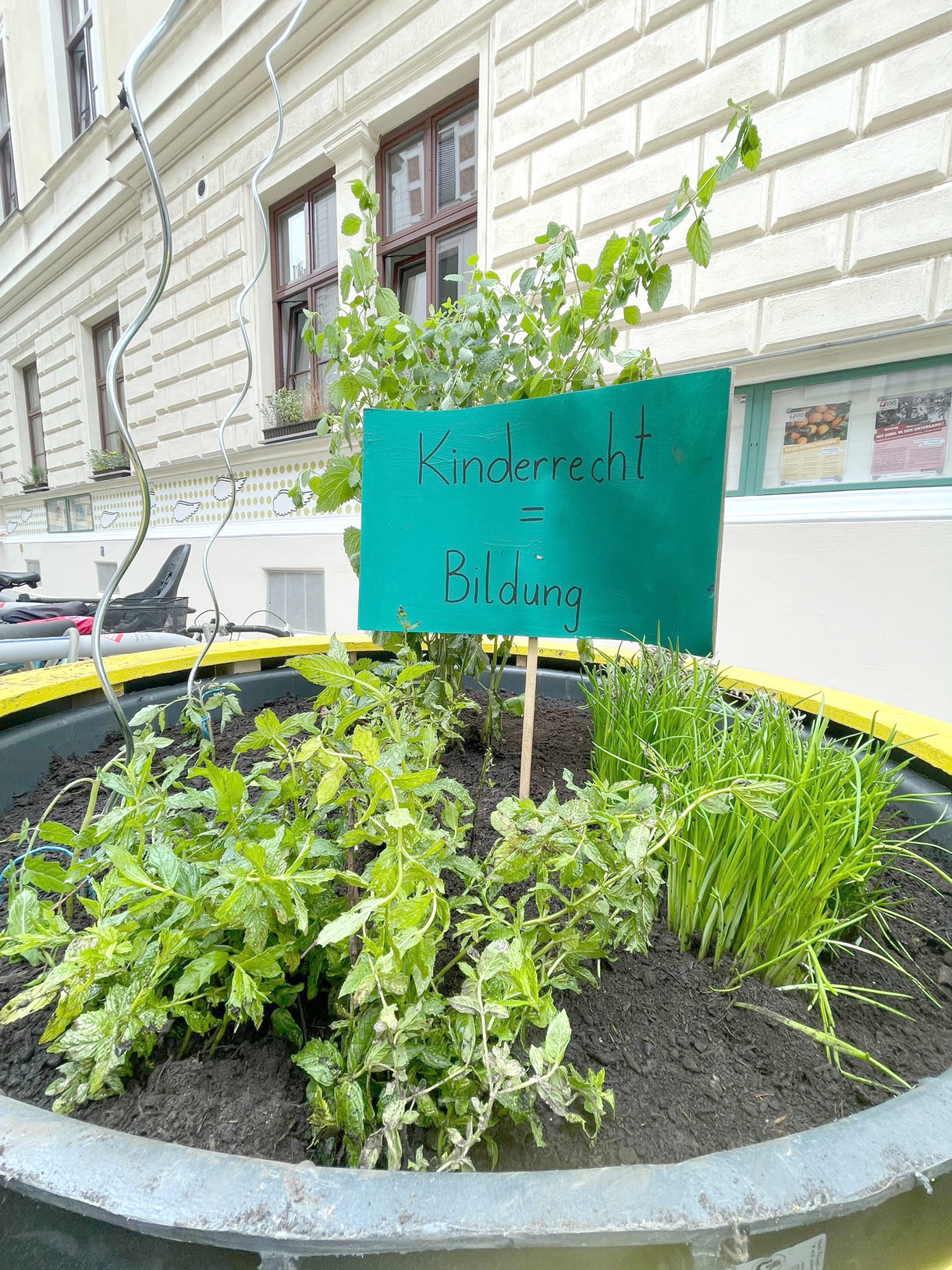 Essbares Pflanzenbeet - noch dazu mit Botschaft