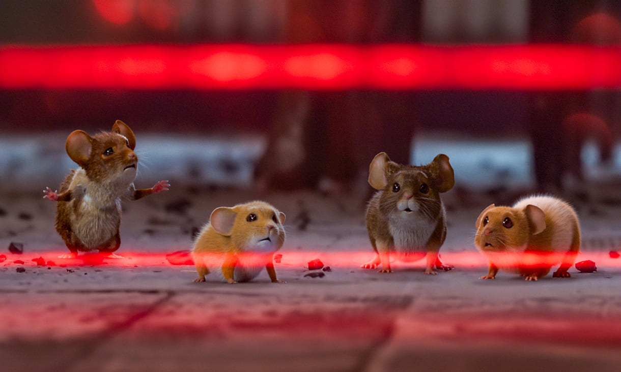 Standbild aus dem Kinofilm 