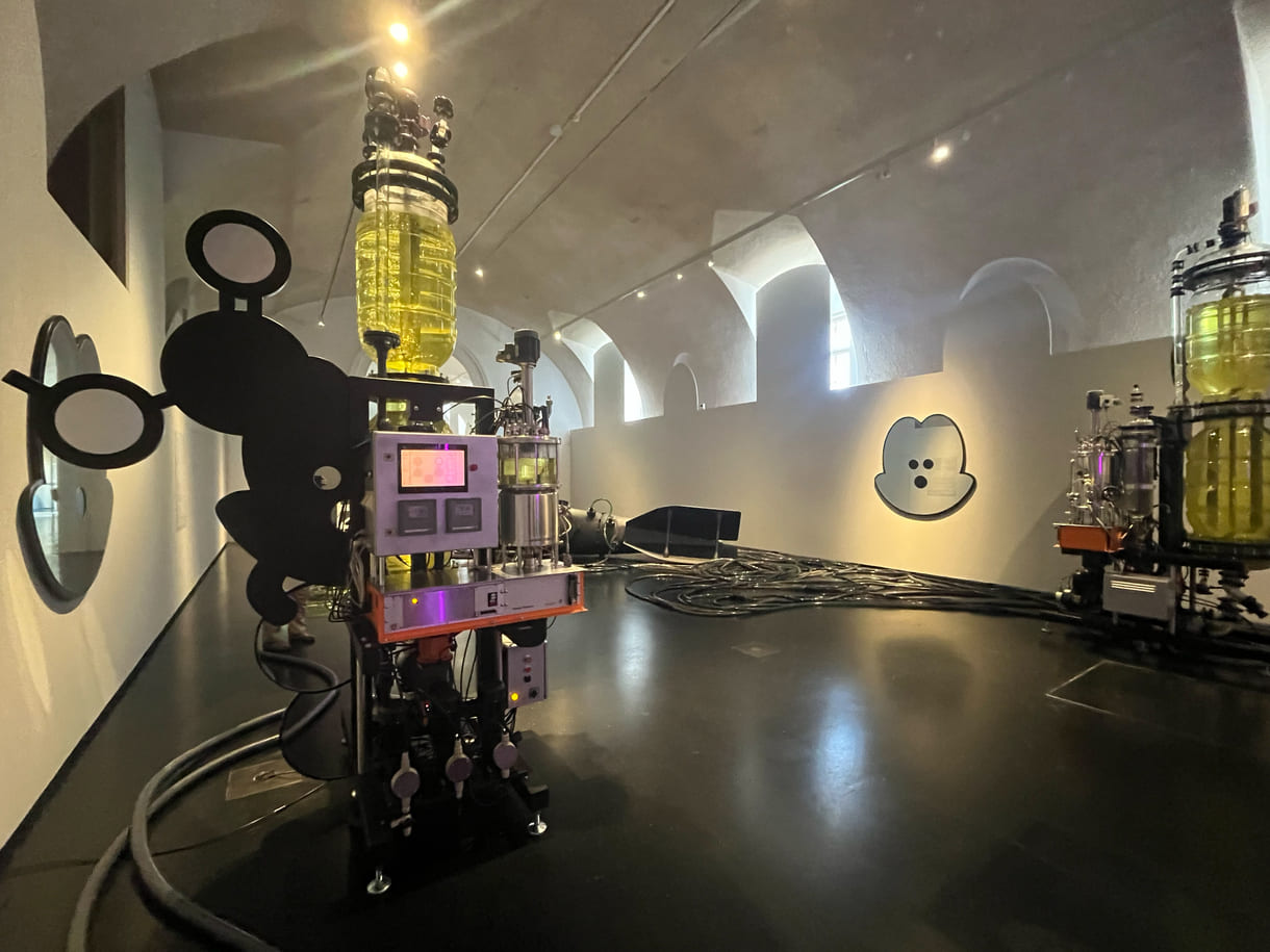 Blick in die größere der Ausstellungshallen im 