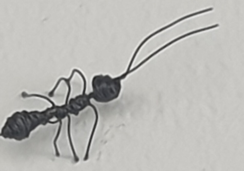 Von der Weite sieht's aus wie eine auf die Wand gemalte Ameisenstraße, aus der Nähe entdeckst du lauter 3D-gebaute Ameisen, die da 