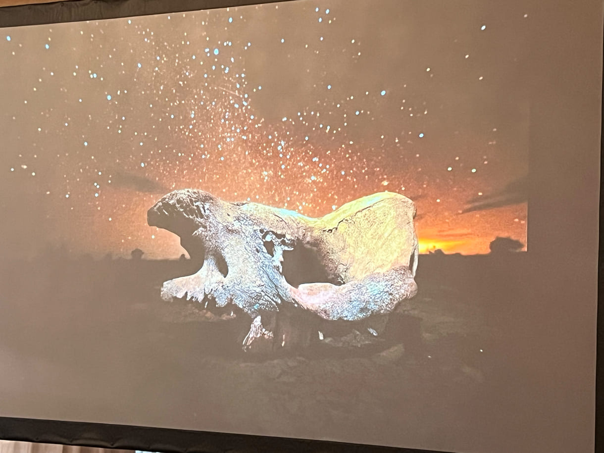 Projektion eines der Fotos von Ami Vitale aus ihrer Gewinnerinnen-Seri 