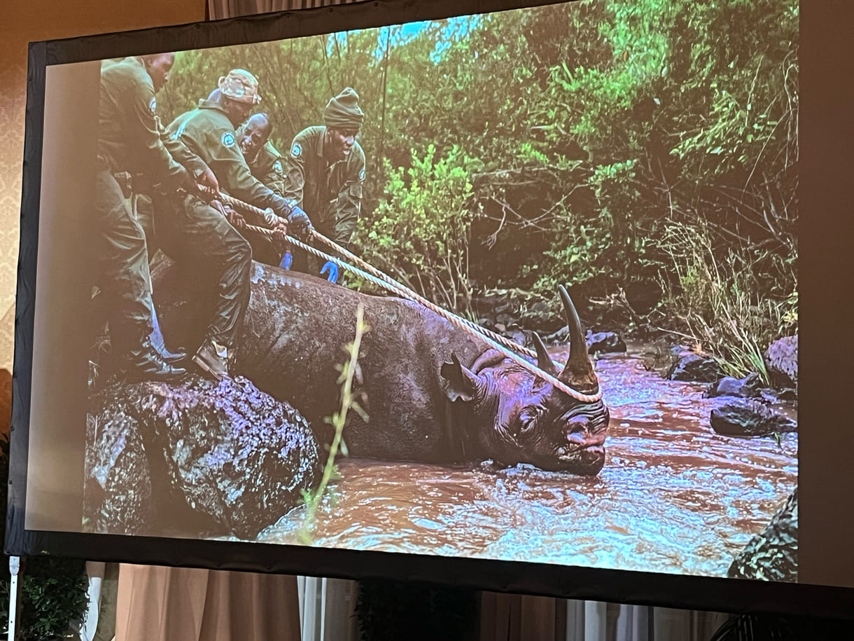 Projektion eines der Fotos von Ami Vitale aus ihrer Gewinnerinnen-Seri 