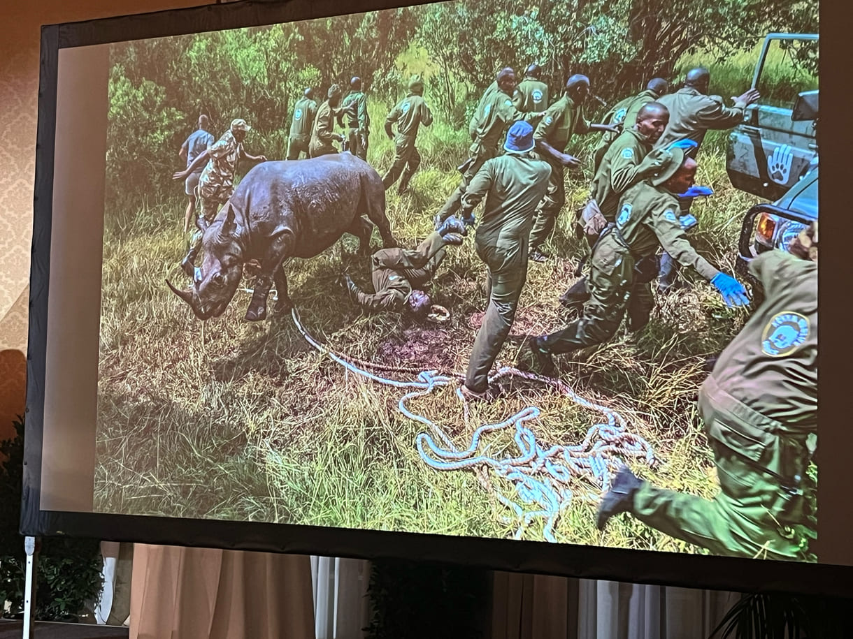 Projektion eines der Fotos von Ami Vitale aus ihrer Gewinnerinnen-Seri 