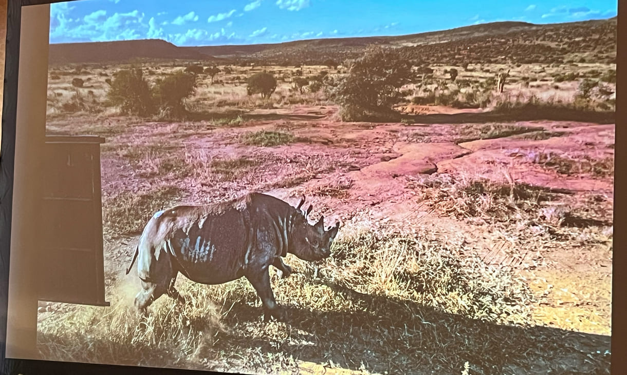 Projektion eines der Fotos von Ami Vitale aus ihrer Gewinnerinnen-Seri 