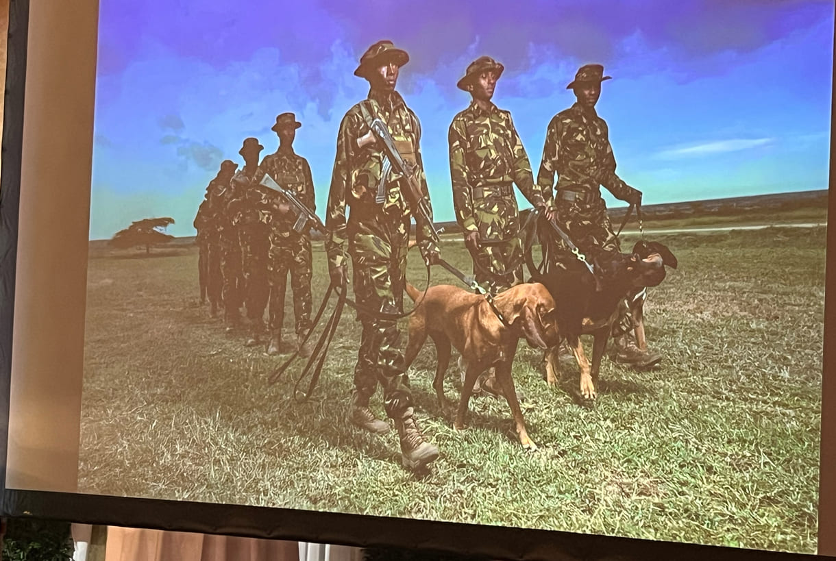 Projektion eines der Fotos von Ami Vitale aus ihrer Gewinnerinnen-Seri 