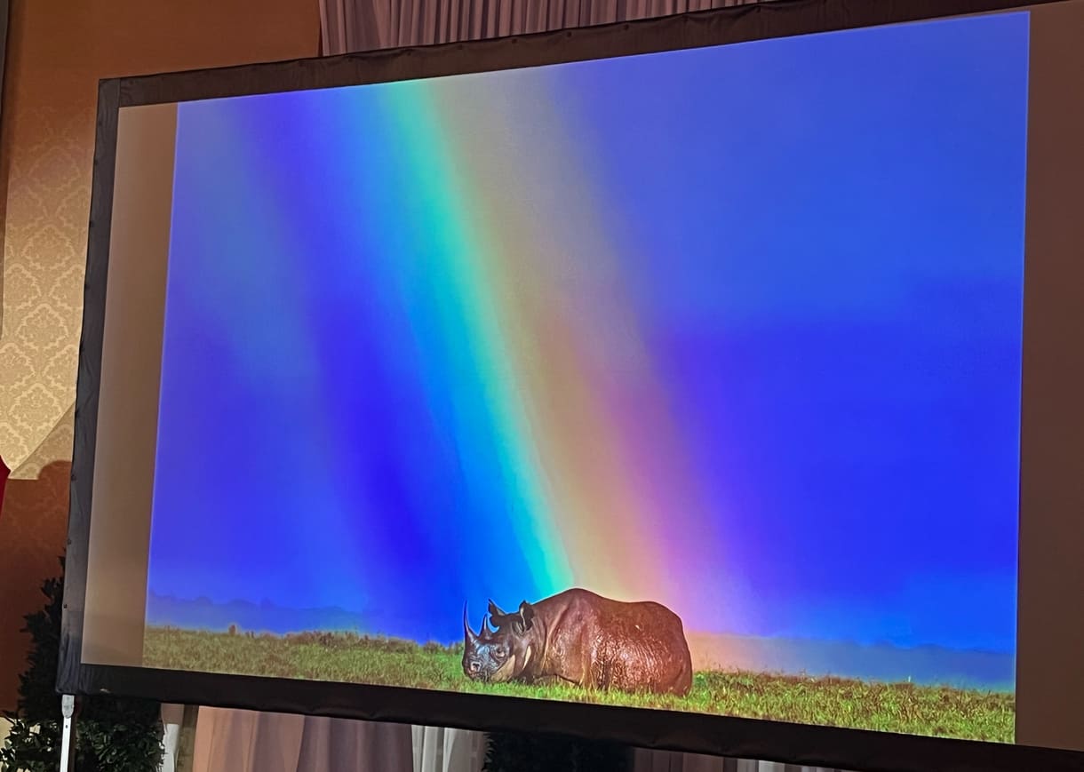 Projektion eines der Fotos von Ami Vitale aus ihrer Gewinnerinnen-Seri 