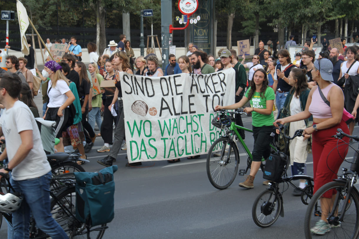 Demonstrant:innen mit Transparenten und Plakaten