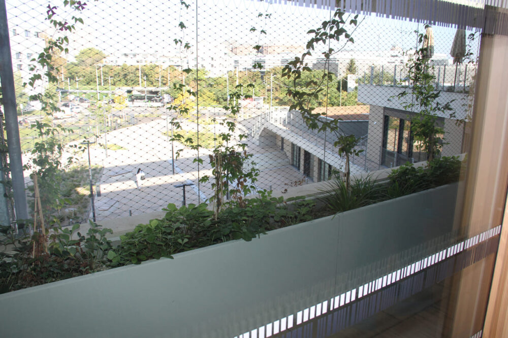Blick von einem der Balkone mit Grünpflanzen auf den Kreisverkehr vor dem Bildungscampus