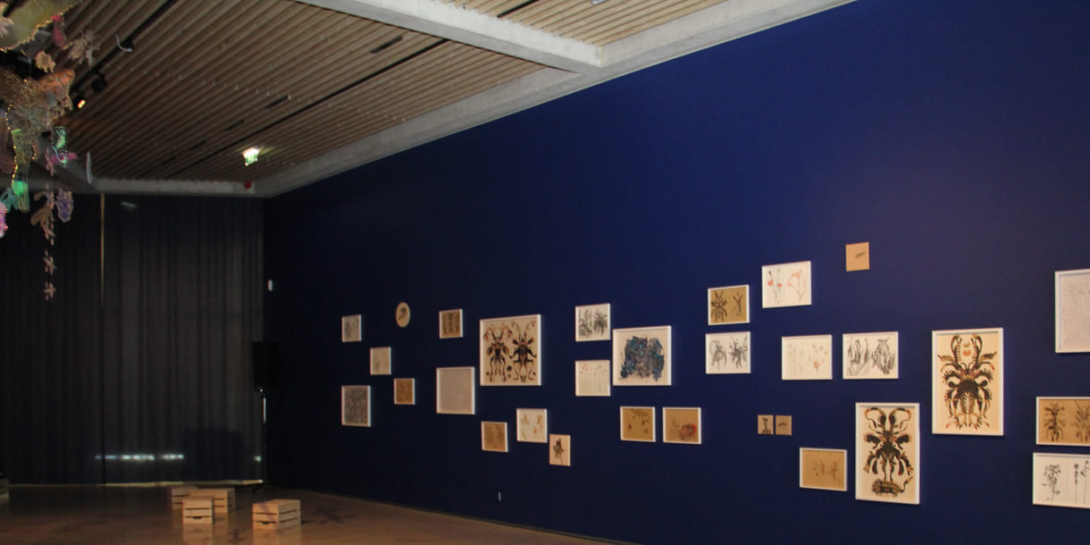 Objekte in der Ausstellung 