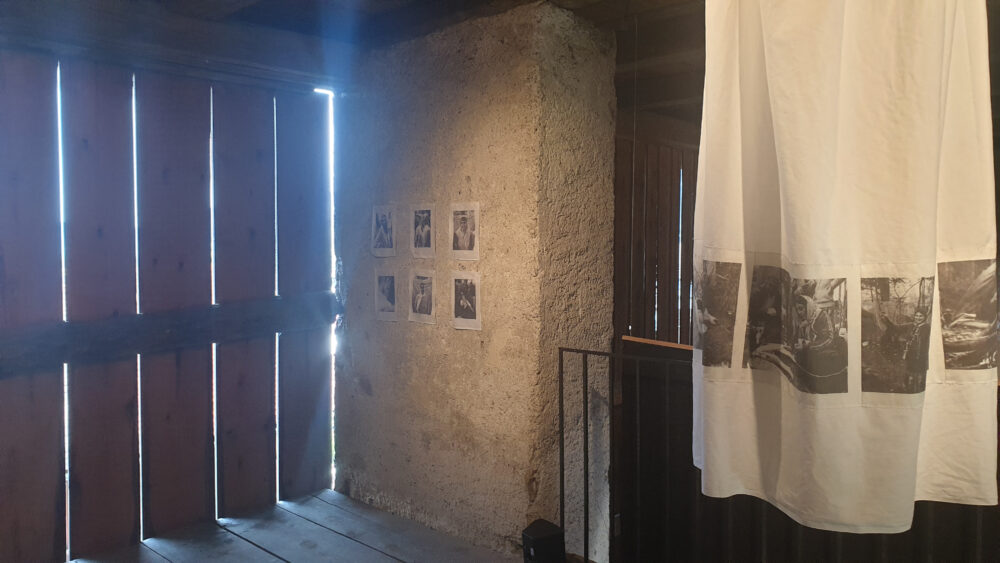 Bilder und Objekte einer Ausstellung in der nenzinger Artenne (Vorarlberg)
