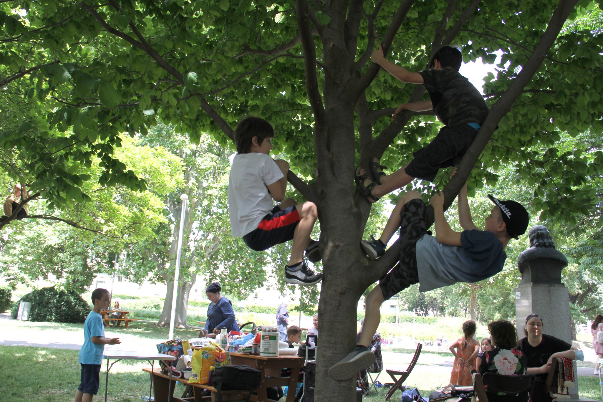 Kinder klettern auf einem Baum