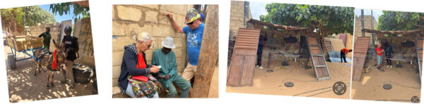 Montage von Fotos aus Senegal - Menschen mit Esel, Spendenübergabe und die Werkstatt für die Esels-Karren