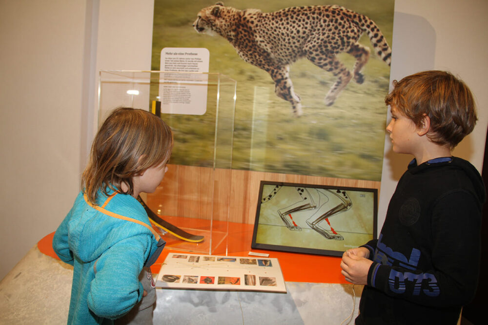 Kinder auf Entdeckungstour in der Ausstellung 