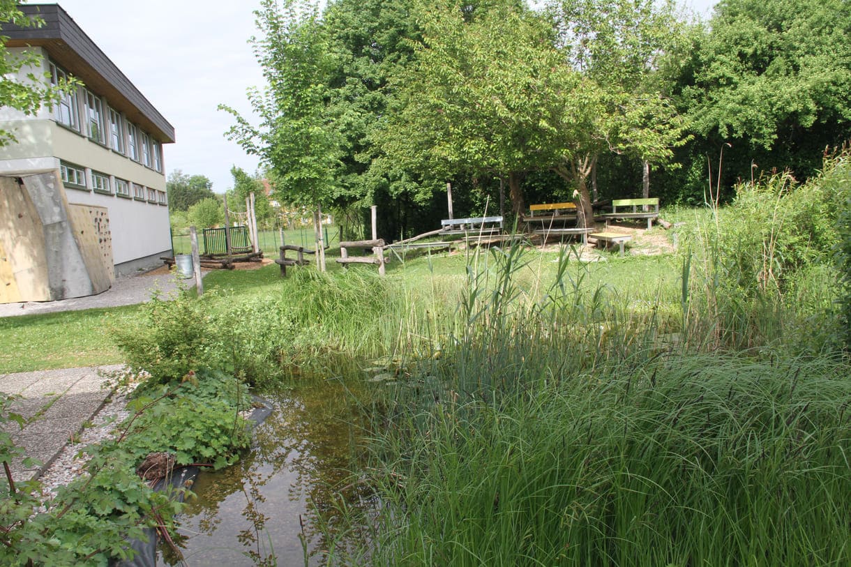 Biotop im Schulgarten