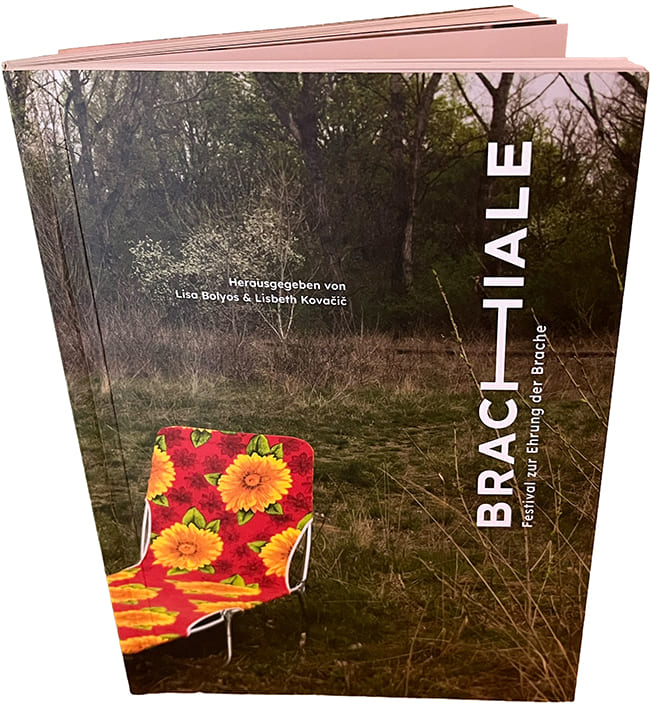 Buch(cover) des Bandes 