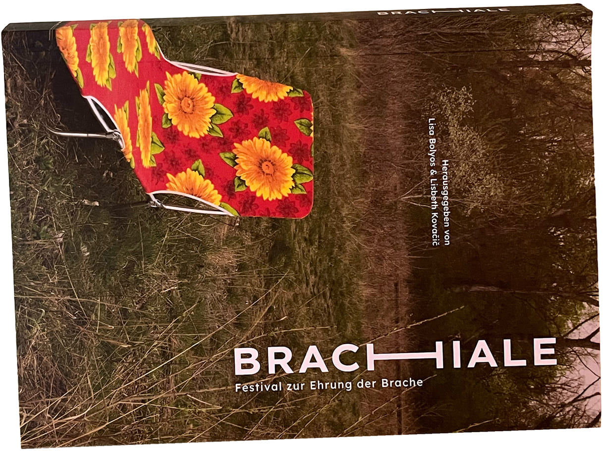 Buch(cover) des Bandes 