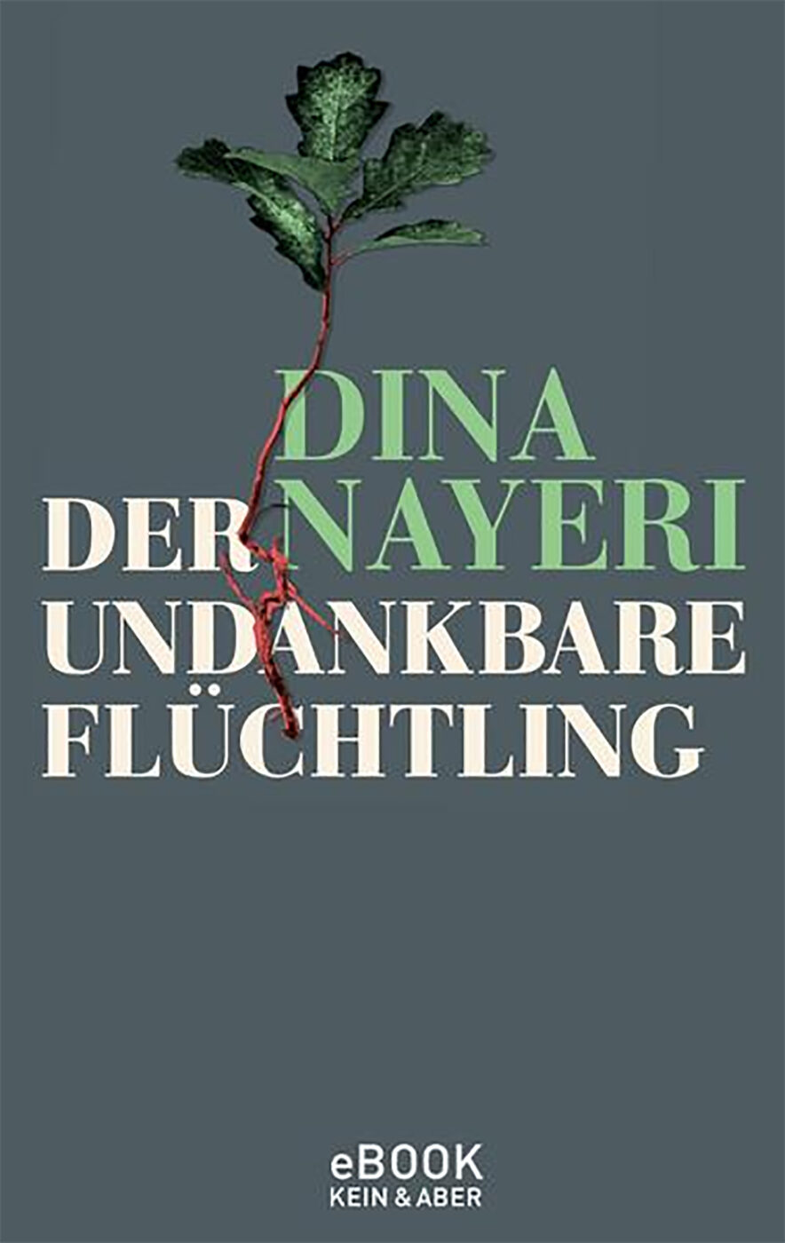 Cover des Buches von Dina Nayeri 