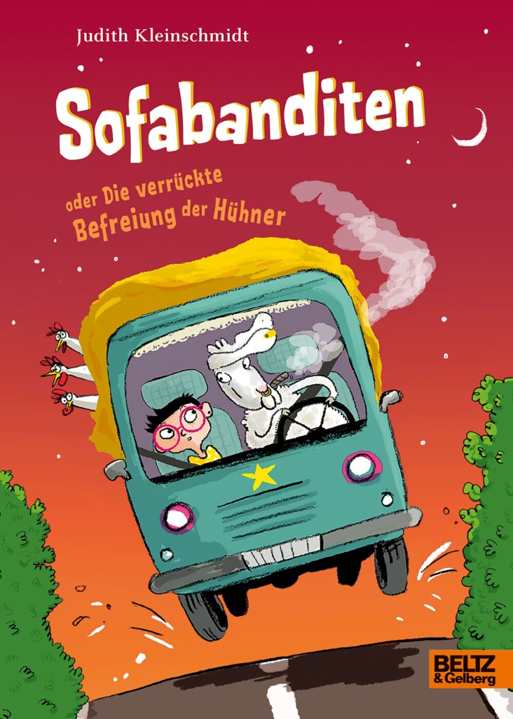 Titelseite des Kinderromans 