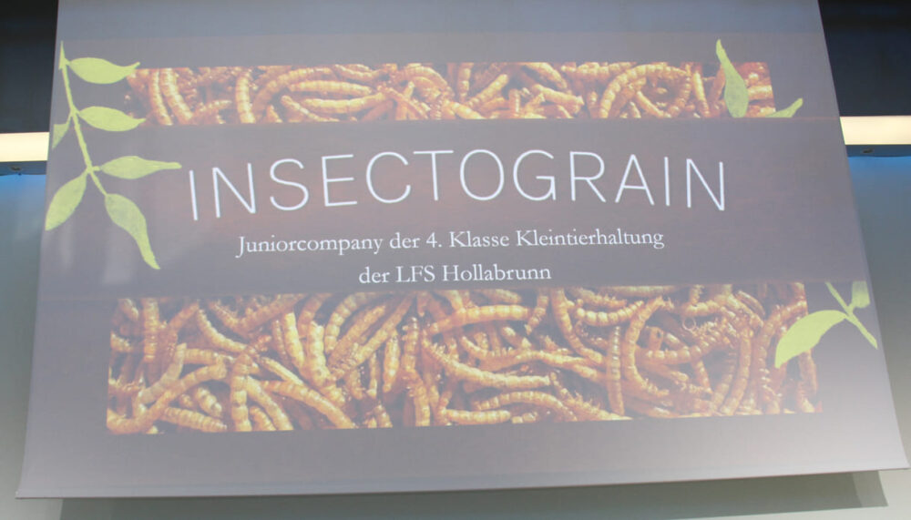 Präsentation der Gebäcke mit Anteilen aus Mehlwürmern