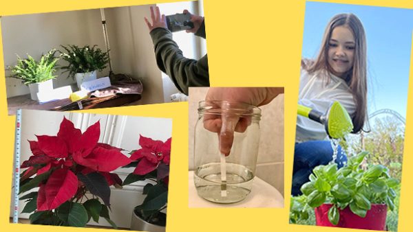 Bildmontage aus Fotos von Pflanzen und einer Jugendlichen, die eine solche gießt sowie einer Wassermessung