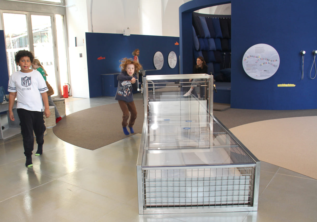 Modell-Simulation des Waserzulaufs zu Donau und Neuer Donau