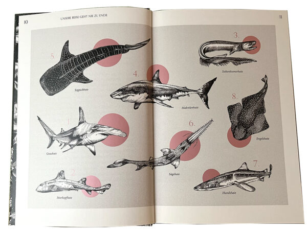 Doppelseite aus dem Buch "Faszination Haie -Wächter der Meere"