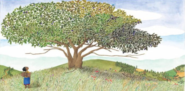 Doppelseite aus dem Bilderbuch "Bäume für Kenia – Die Geschichte der Wangari Maathai"