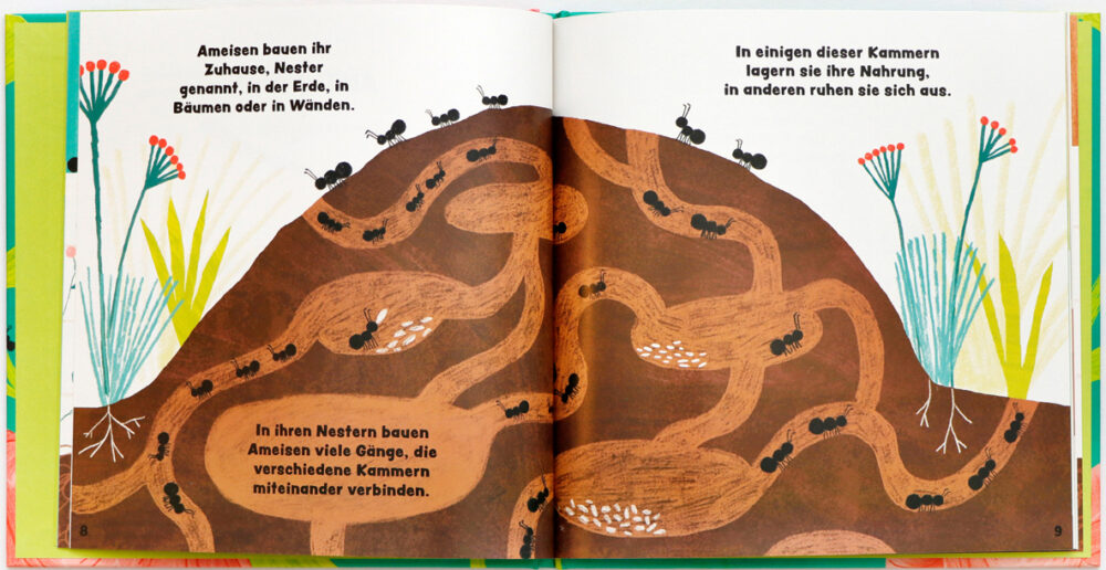 Doppelseite aus dem Bilderbuch über Ameisen