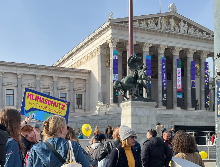 Einige Teilnehmer:innen mit Plakatenvor dem Parlament