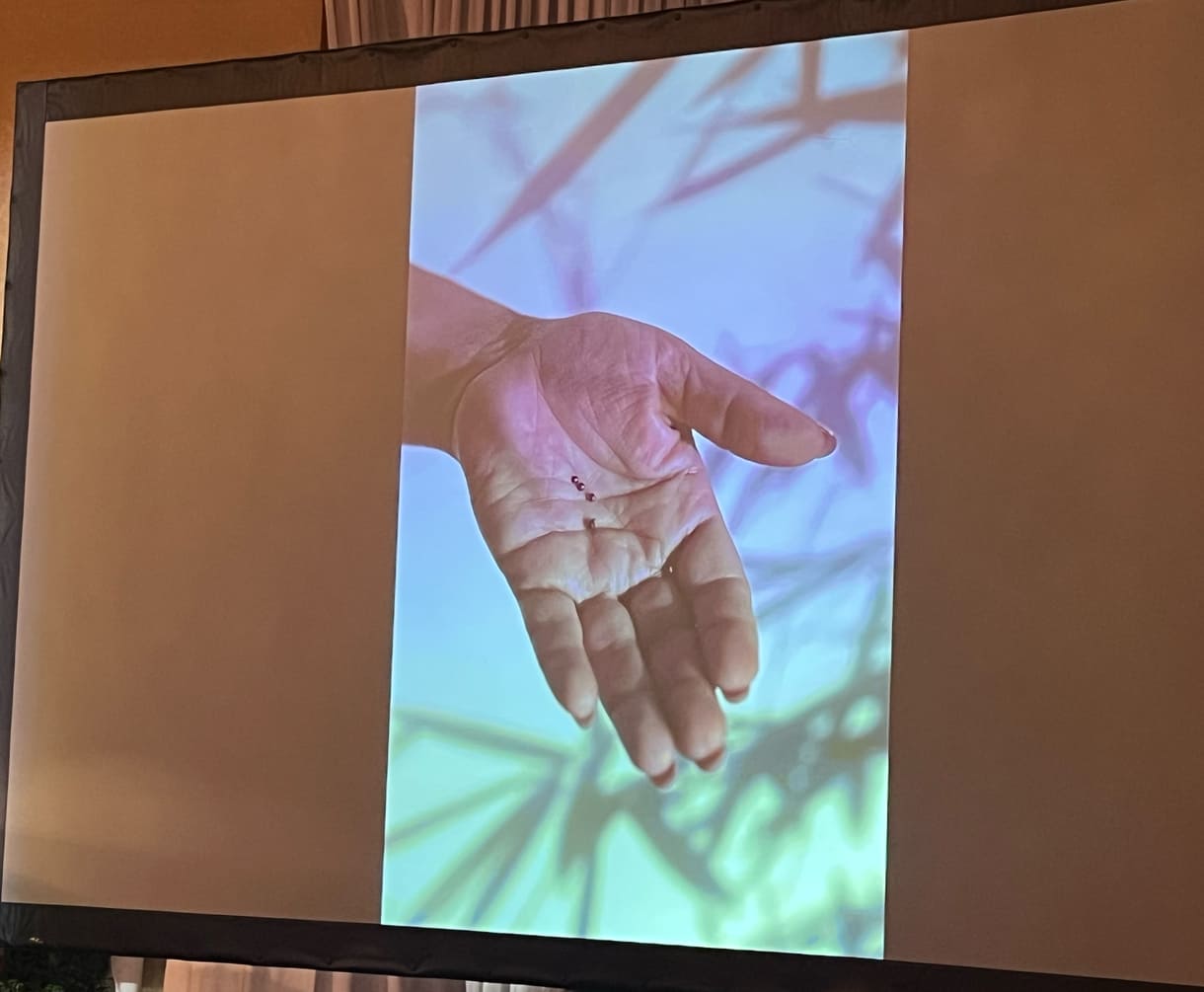 Präsentation der Fotos der Preisträgerin Fereshteh Eslahi mit dem Titel 