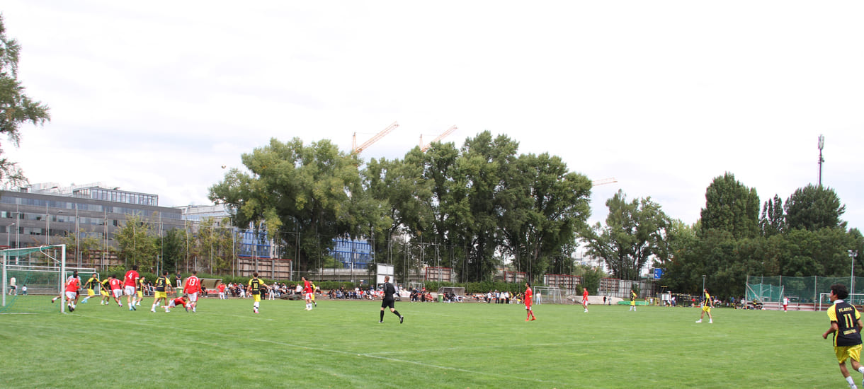 --- No Change ---Fuball auf dem großen Spielfeld