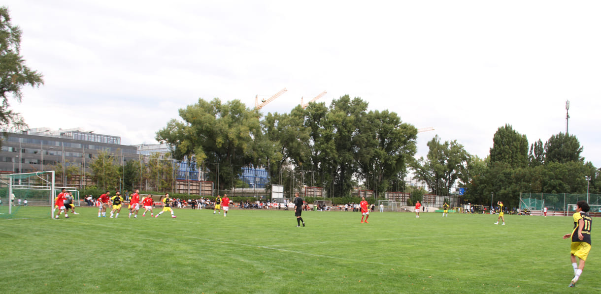 --- No Change ---Fuball auf dem großen Spielfeld