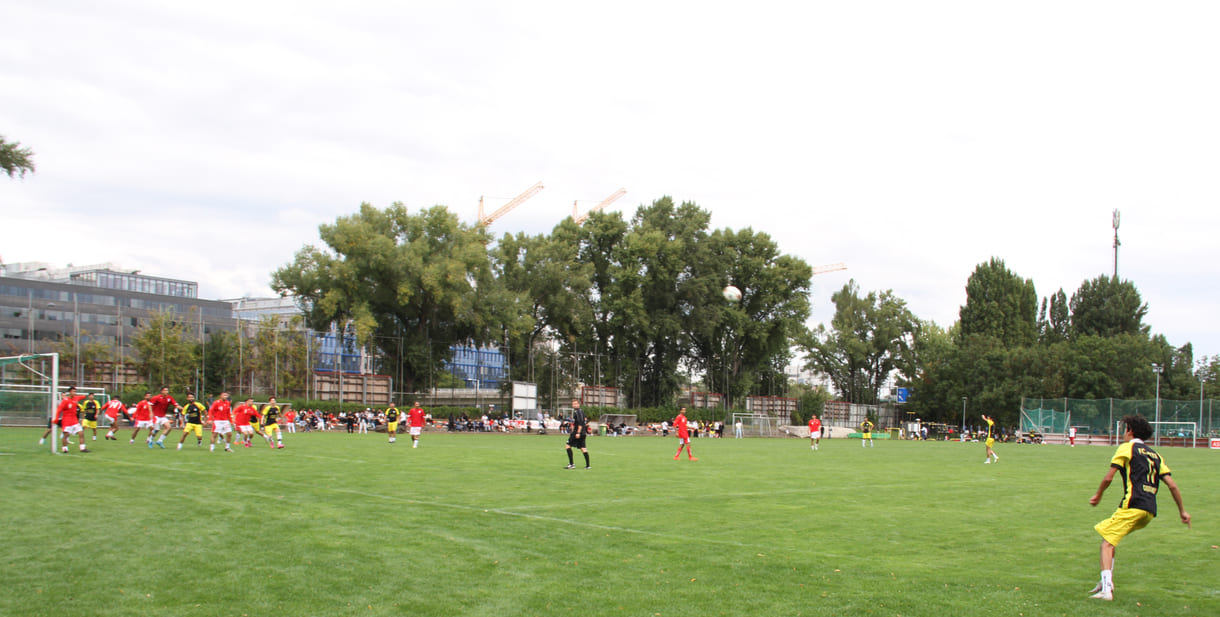 --- No Change ---Fuball auf dem großen Spielfeld
