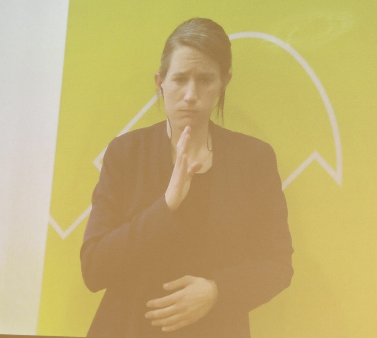 Alles wurde live und analog in Gebärdensprache übersetzt