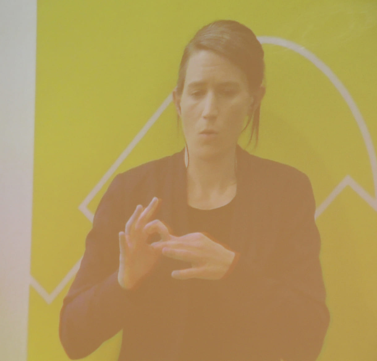 Alles wurde live und analog in Gebärdensprache übersetzt