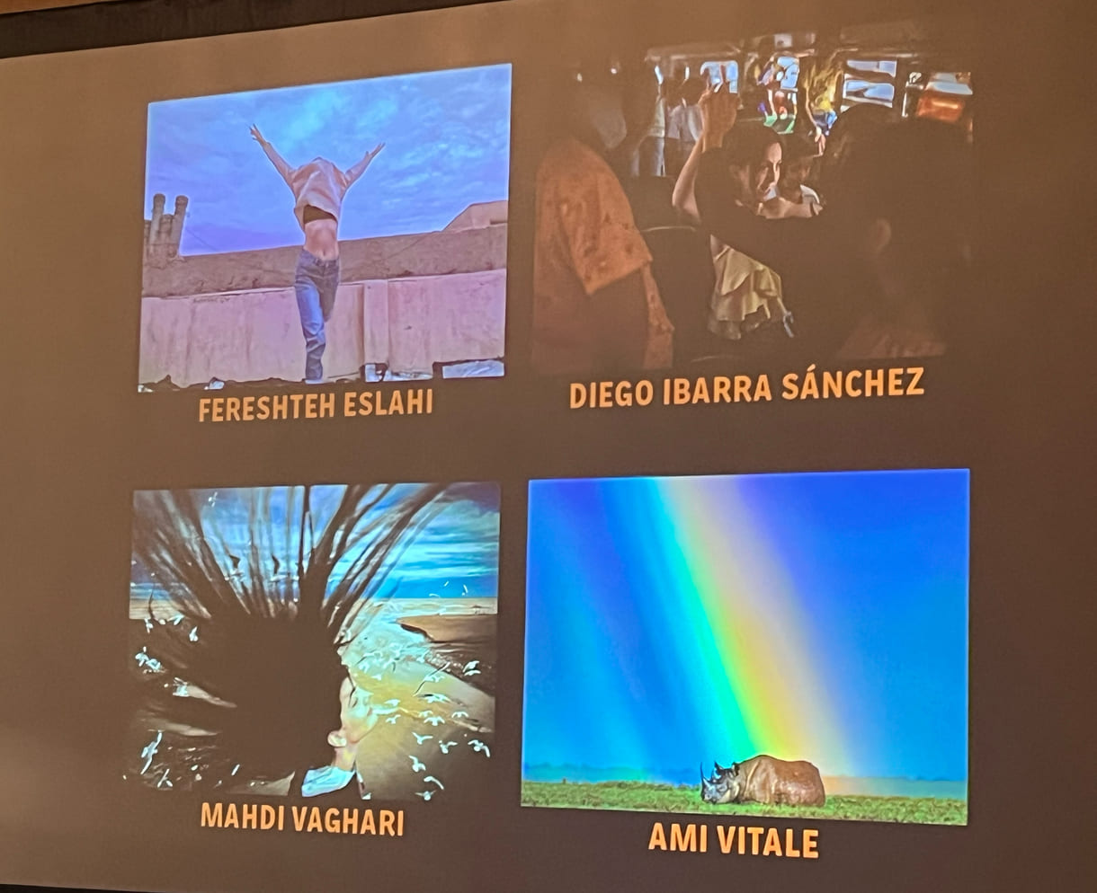 Die vier Kategorie-Gewinner:innen-Fotos