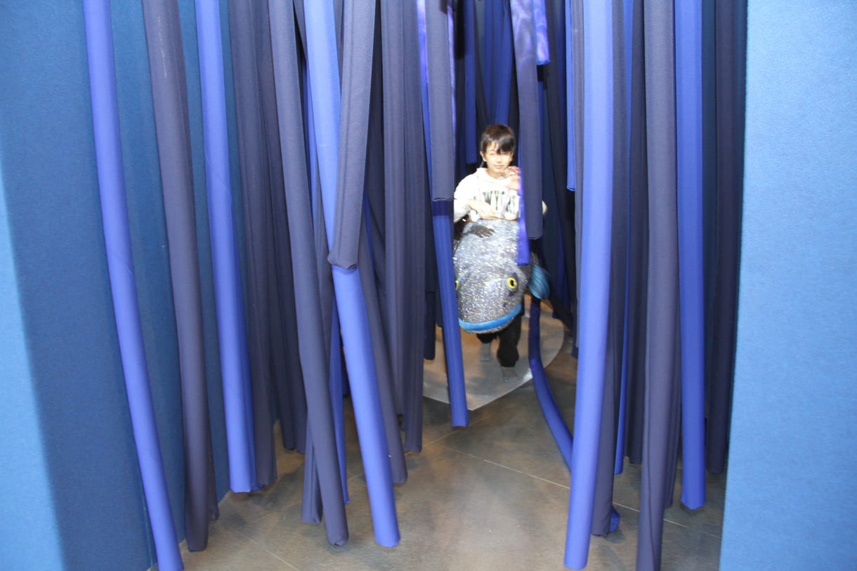 Inad im Huchen-Kostüm im Stoffnudel-Strom