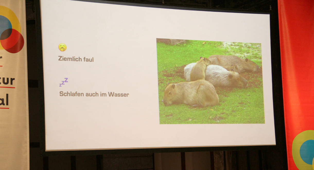 Vor der Lesung präsentierte der Autor noch einige Fakten zu den - echten - Wasserschweinen