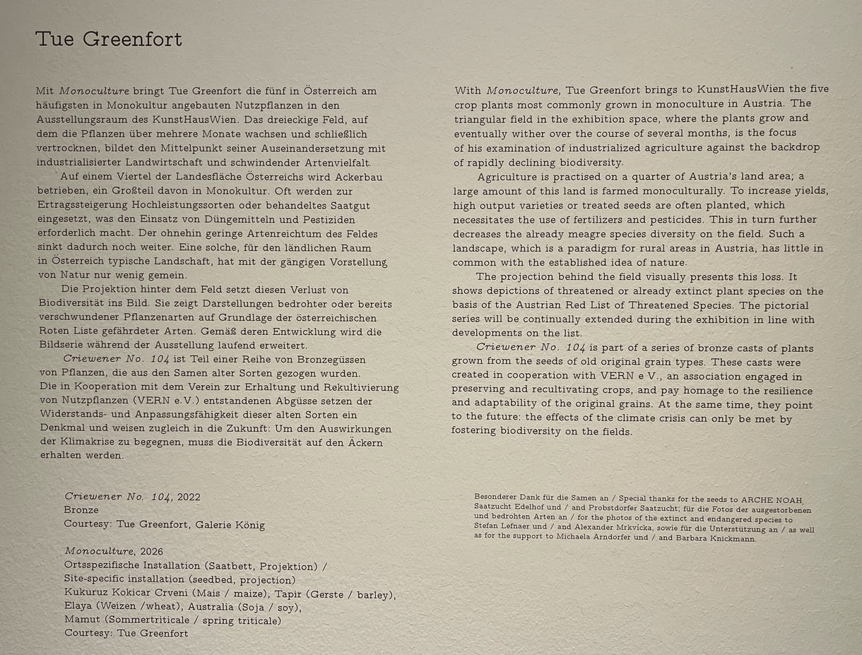 Beschreibung des Monokultur-Wiesen-Projekts