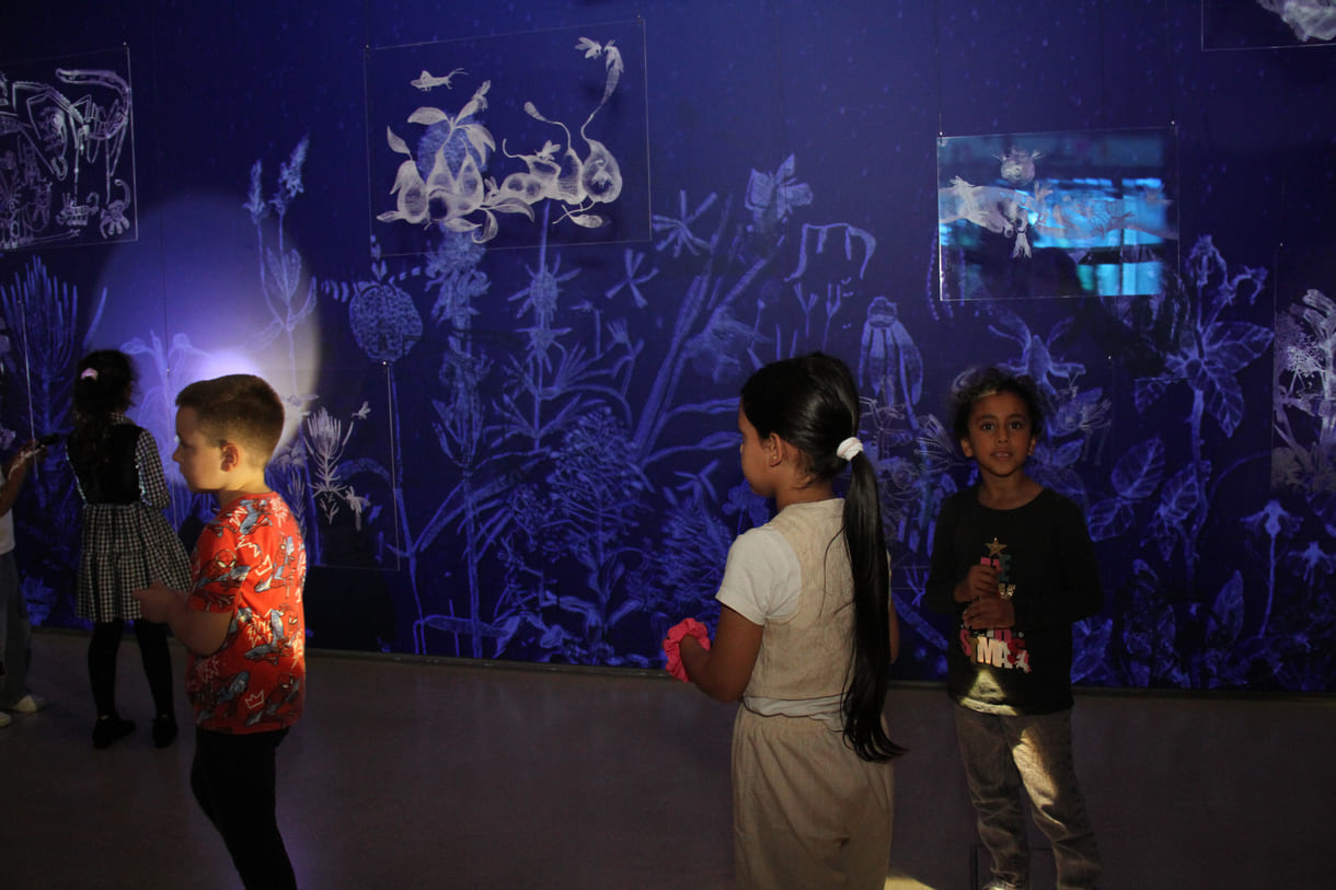 Ausstellungsobjekte animieren zu eigenen Schattenspielen