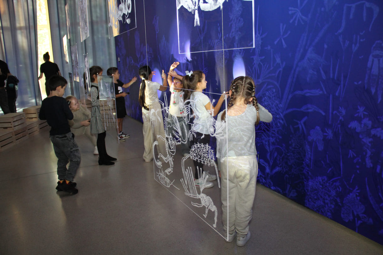 Ausstellungsobjekte animieren zu eigenen Schattenspielen