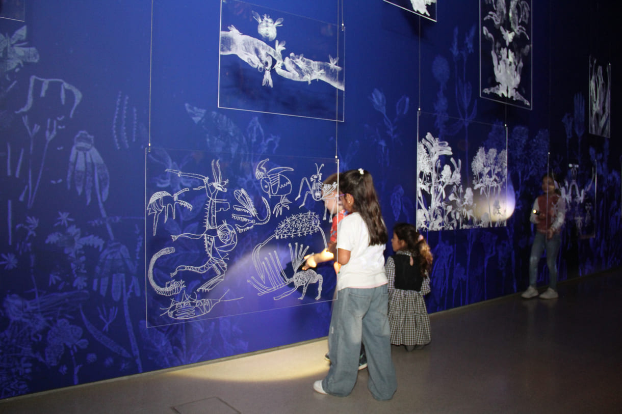 Ausstellungsobjekte animieren zu eigenen Schattenspielen