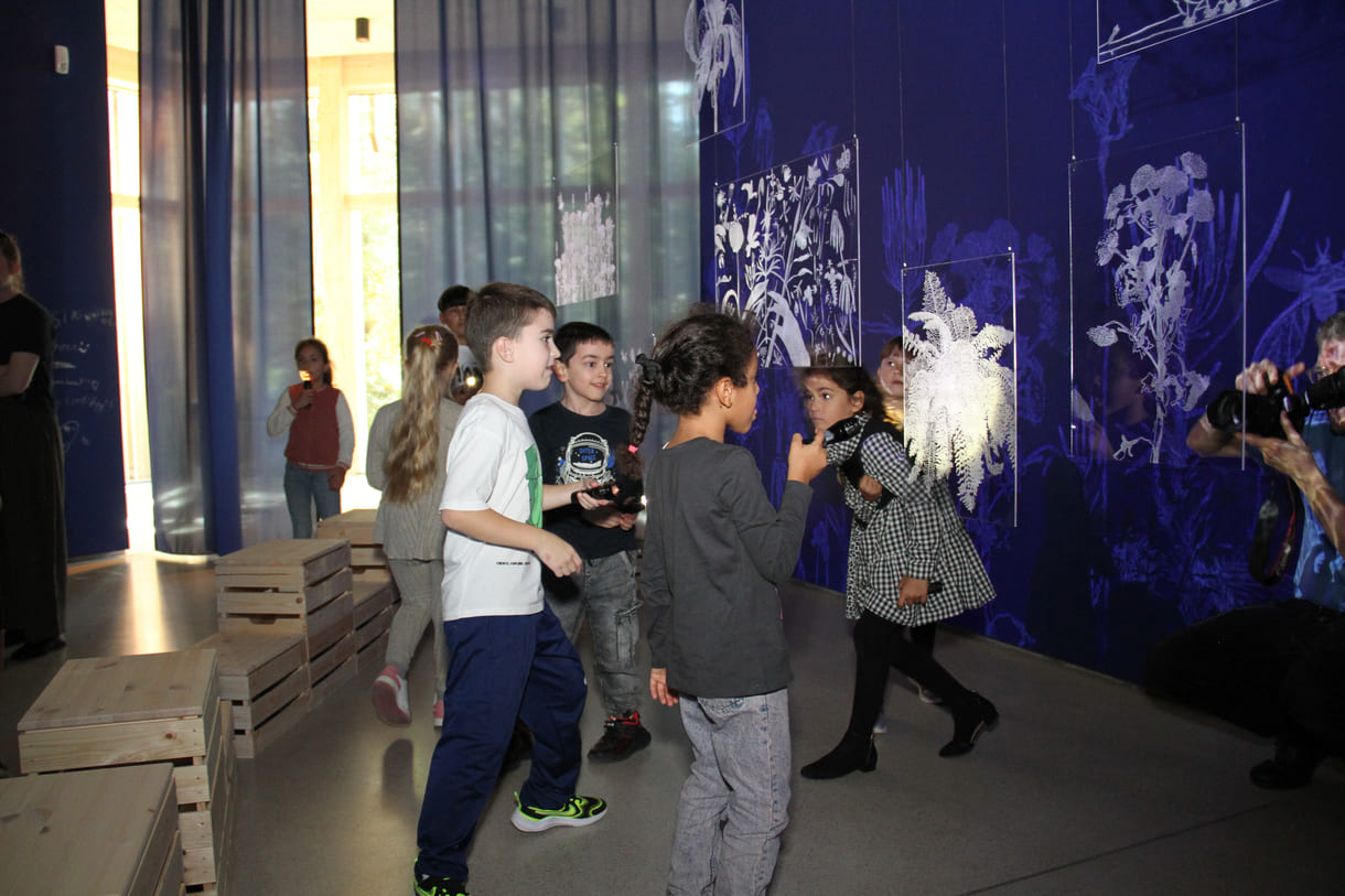 Ausstellungsobjekte animieren zu eigenen Schattenspielen