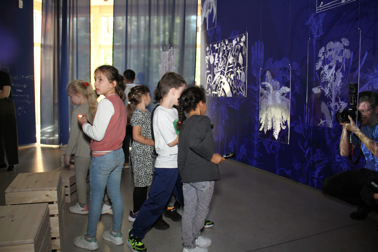 Ausstellungsobjekte animieren zu eigenen Schattenspielen