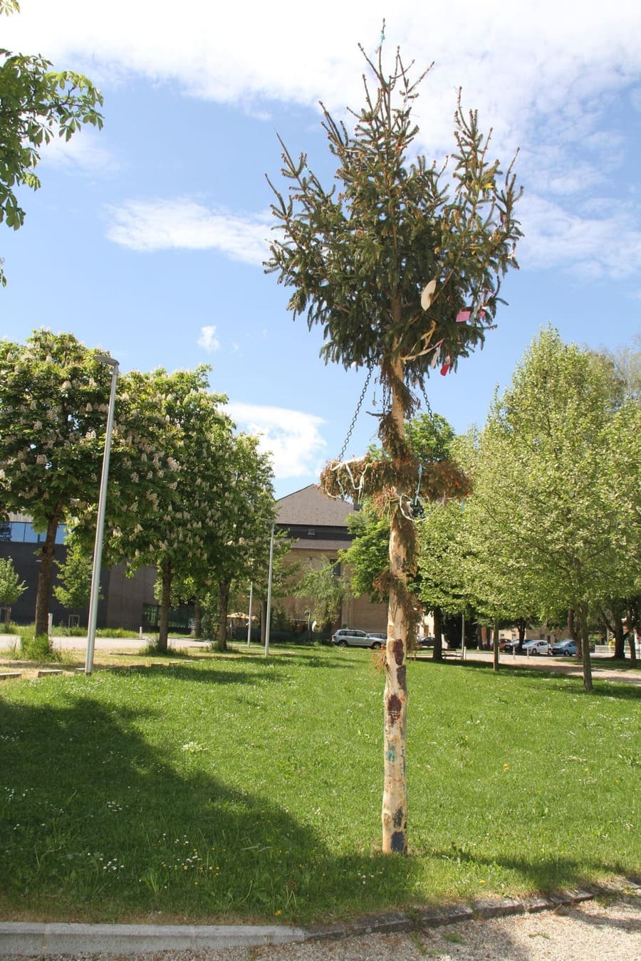 Der Kinder-Maibaum, wieder an seinem Platz