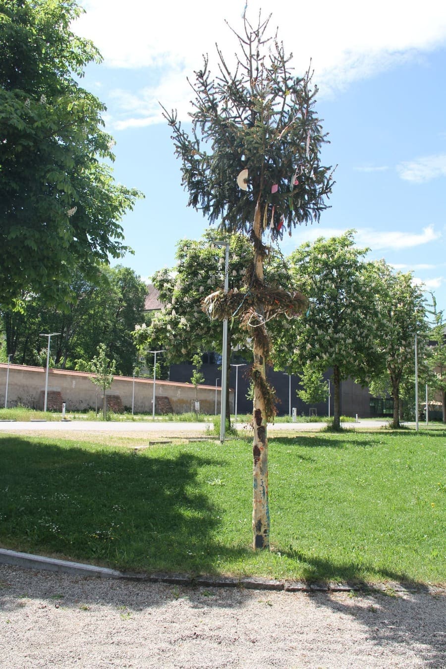 Der Kinder-Maibaum, wieder an seinem Platz